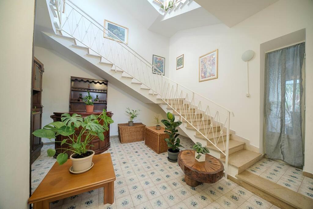 Helichrysum Hospitality Ampio Trilocale Iun Q9603 Apartment